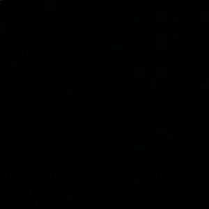 Meet your Posher, Ricki